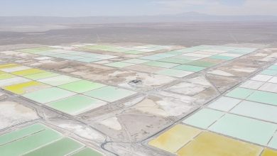 Recursos que frenaron la licitación del litio