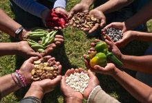 soberanía alimentaria, nueva regulación del SAG