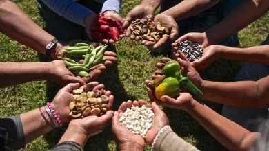 soberanía alimentaria, nueva regulación del SAG