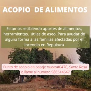 Incendio forestal en Chol Chol