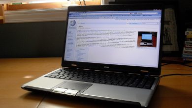 acceso a la información en la Nueva Constitución