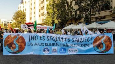 Comisión de Medio Ambiente aprobó derechos para la Naturaleza