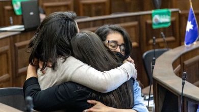 medio ambiente en la nueva Constitución