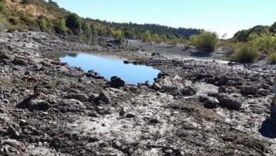 Situación hídrica del Maule sur. Zona seca del río Perquilauquén en sector de Quilquilmo, Caliboro, comuna de San Javier