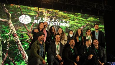 Fundación Reforestemos