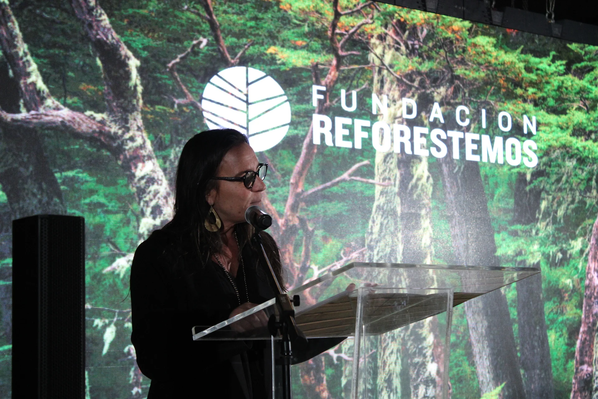 Fundación Reforestemos Fundación Reforestemos