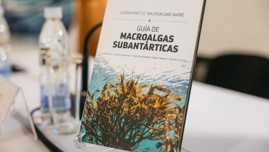Guía de macroalgas