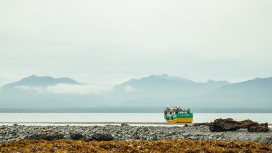 En “Voces del Maritorio Minchemawida Chaitén”, los mismos habitantes explican su relación con el territorio.