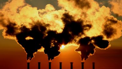 Opinión: Los proyectos “bombas de carbono” ponen en riesgo el objetivo climático de 1,5°C