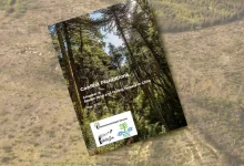 modelo forestal