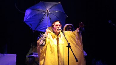 Árbol (es): una oda al mundo arbóreo que recuerda la mayor deforestación en Chile a través del teatro de objetos