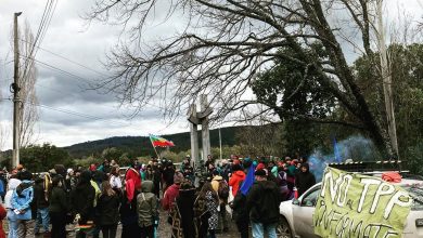 central Rucalhue