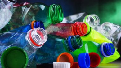 Oceana demanda a Jumbo y Lider por incumplir ley que les obliga a vender botellas retornables en sus canales online