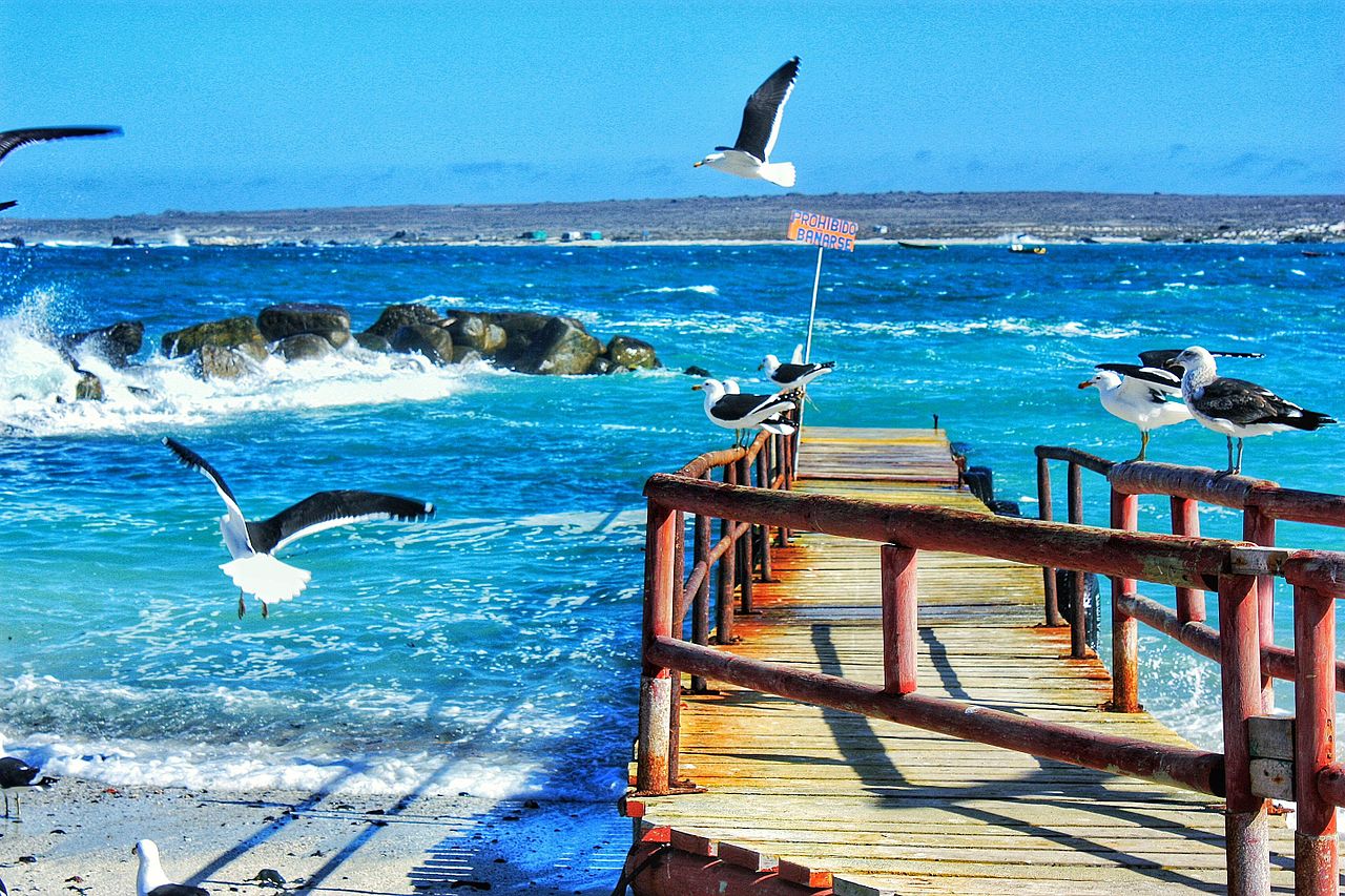 olas de transformacion
