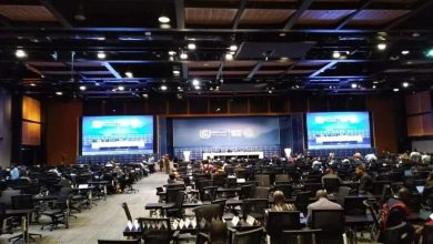 cop27