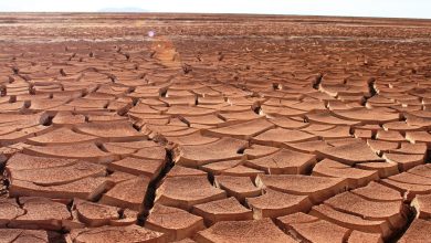 Aridez del terreno de Regreso a Uyuni, Bolivia