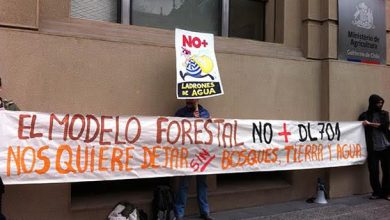 organizaciones contra el modelo forestal