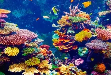 7 documentales ecológicos para ver en Semana Santa en Netflix
