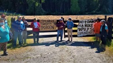 "Las forestales nos matan en vida": Comunidades Mapuche Williche en San Juan de la Costa denuncian