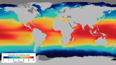 La mar no estaba serena: aumento de la temperatura del océano y proyecciones futuras
