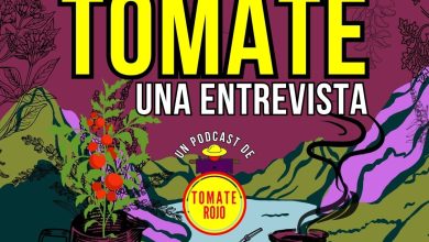 entrevistas ambientales, podcast ambiental, podcast medio ambiente, podcast medio ambiente chile