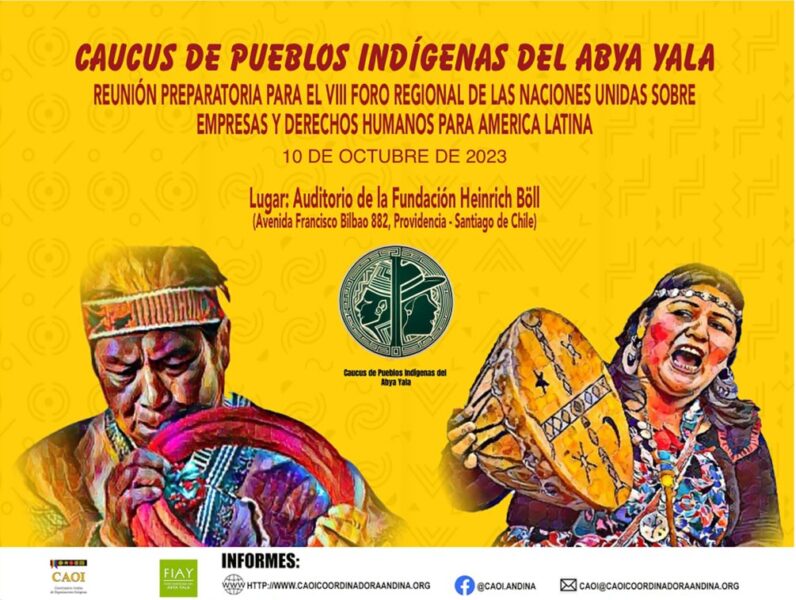 Caucus de los Pueblos Indígenas del Abya Yala preparará en Santiago