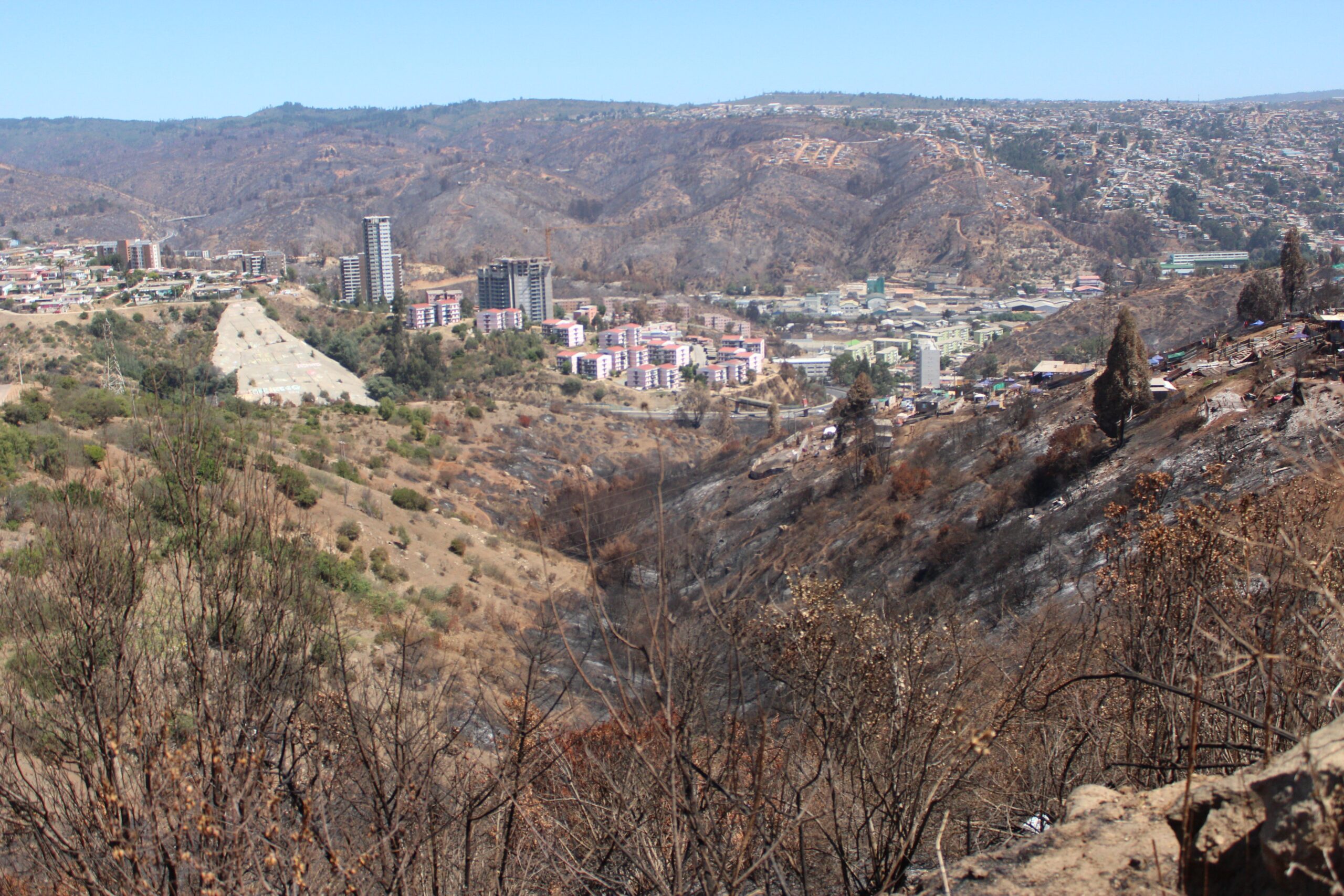 humedal quemado Humedal quemado