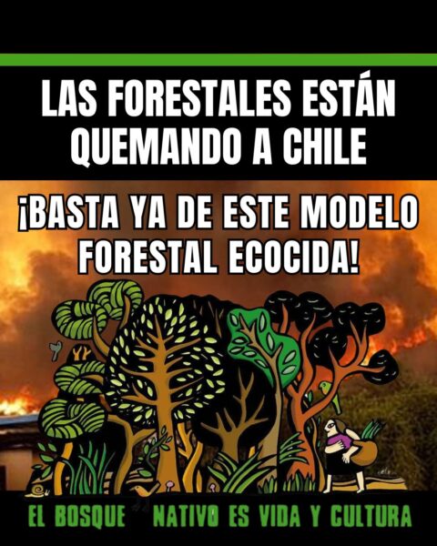 modelo forestal