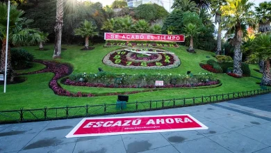 Intervienen Reloj de Flores de Viña del Mar con potente consigna ecológica