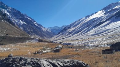 Ley de la Naturaleza