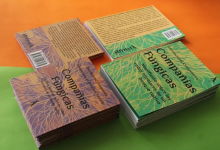 Compañías Fúngicas: un relato de la e-coexistencia