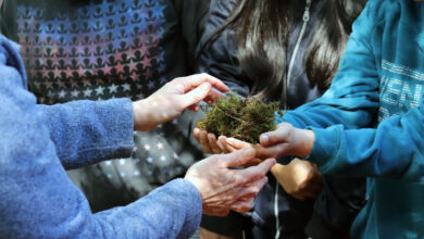 RED LATINOAMERICANA DE BOSQUES MODELO