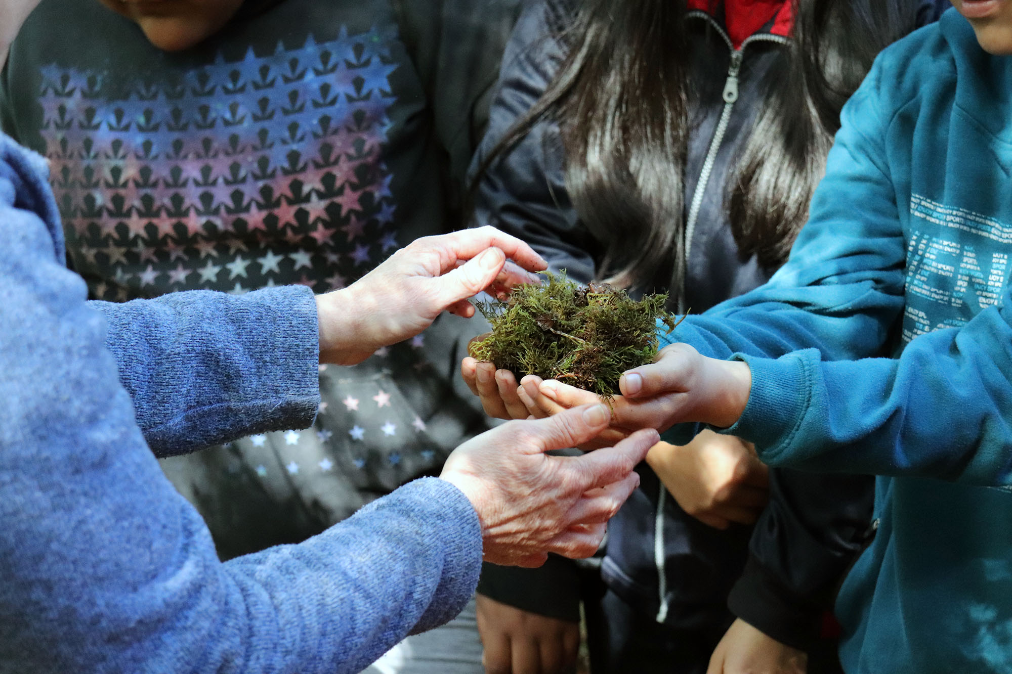 RED LATINOAMERICANA DE BOSQUES MODELO