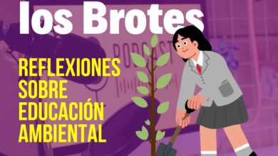 Aprender de los brotes