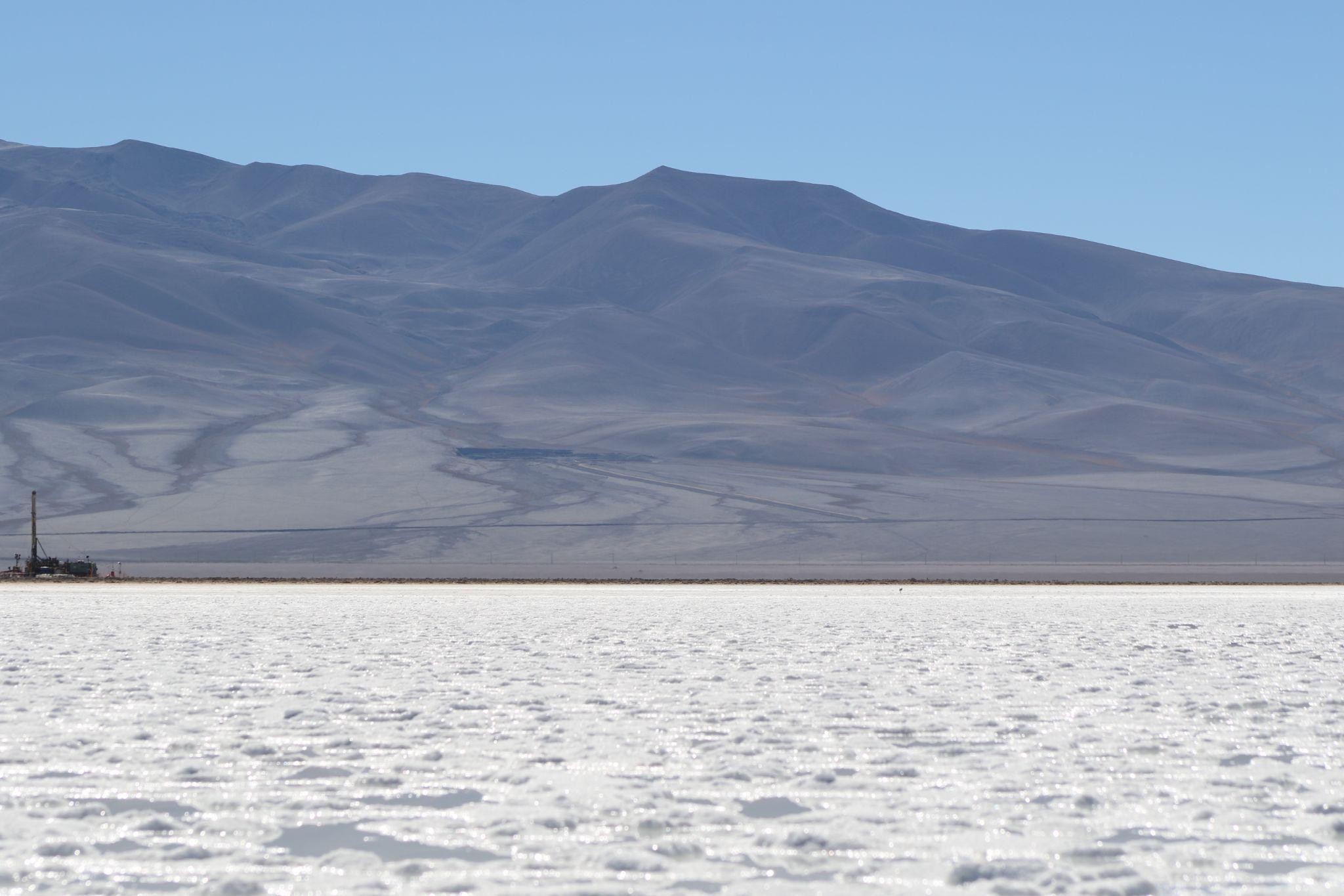 Fotografía de Camila Guzmán Donoso. Codemaa - Esqueje Atacama Imagen: perforadora y a unos metros un polluelo de Flamenco
