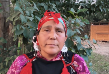 Organizaciones Mapuche se articulan frente a amenazas de reforma a la Ley Indígena