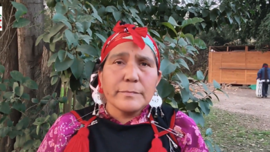 Organizaciones Mapuche se articulan frente a amenazas de reforma a la Ley Indígena